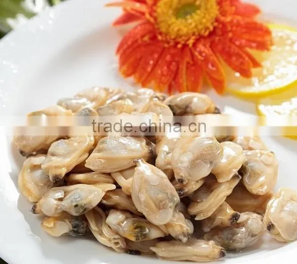 Multi-Language Sites Frozen Short Neck Clam With Shell Frozen Short Neck Clam With Shell Frozen Short Neck Clam With Shell Froz