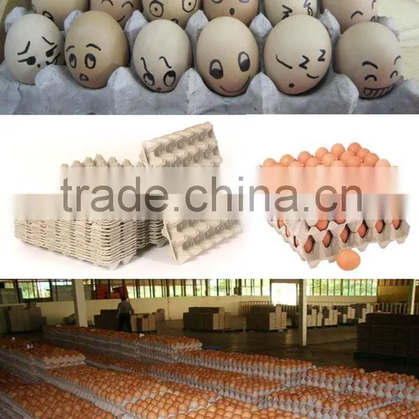 Commercial China Egg Tray Machine From Factory photo-4