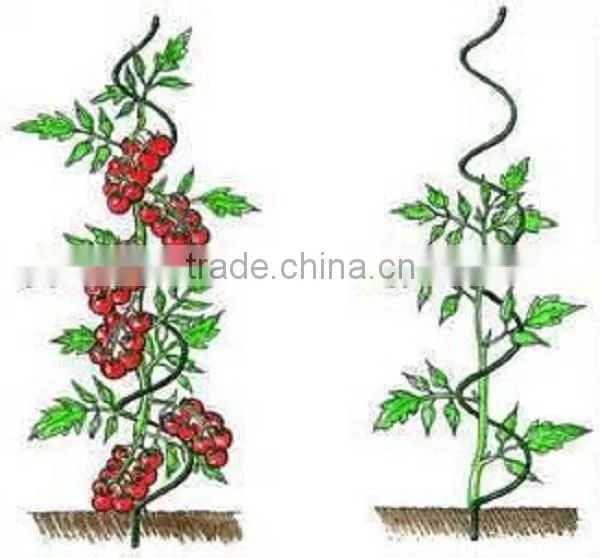 China Factory Directly Supply Metal Climbing Plant Supports photo-2