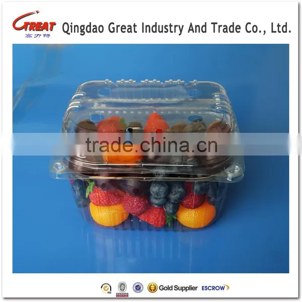 Disposable Blister Clamshells Punnet Fruit Packaging Tray for Grape 1000 Gram photo-3