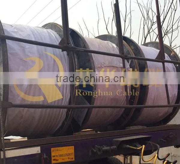 0.6/1KV YJV22 3X6MM+E Power Cable photo-5