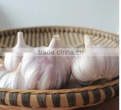 2016 NEW CROP GARLIC photo-2