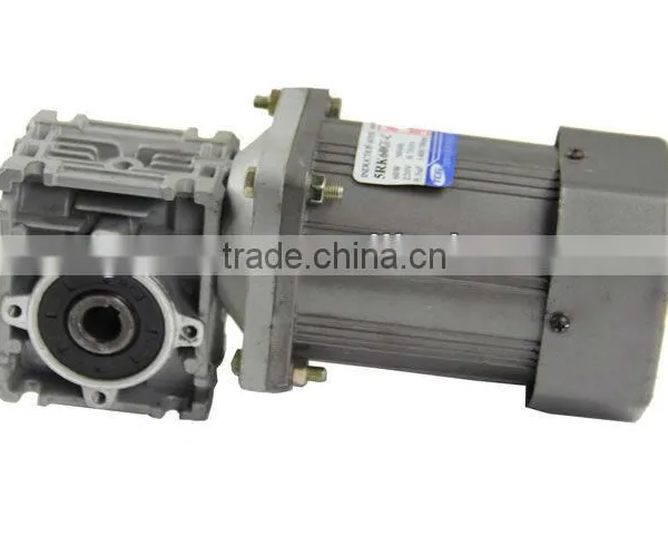 Worm Gear Motor, Mini AC Motor With RV Gearbox