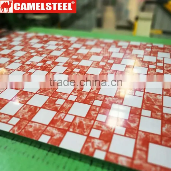 Hot Sale Decorated PPGI/PPGL photo-3