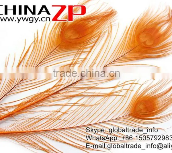ZPDECOR Crafts Factory Leading Supplier Wholesale Cheap Full Eye Dyed Gold Peacock Tail Feathers photo-3