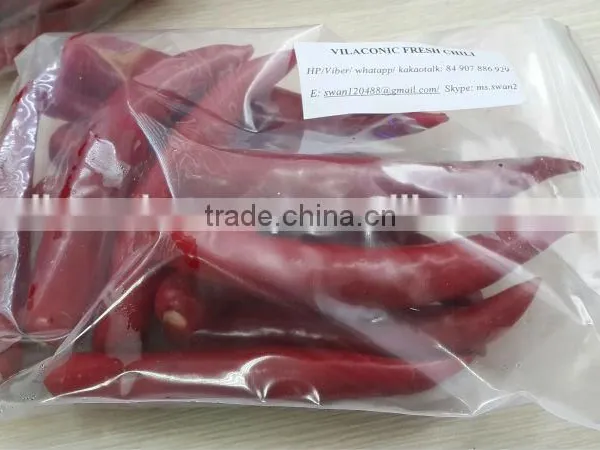 FRESH CHILI photo-5
