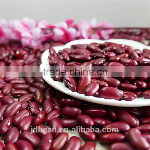 Chinese Dark Red Kidney Beans Shanxi Variety photo-6