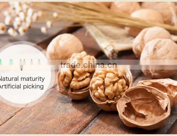 Natural Thin Skin Organic Walnuts in Shell