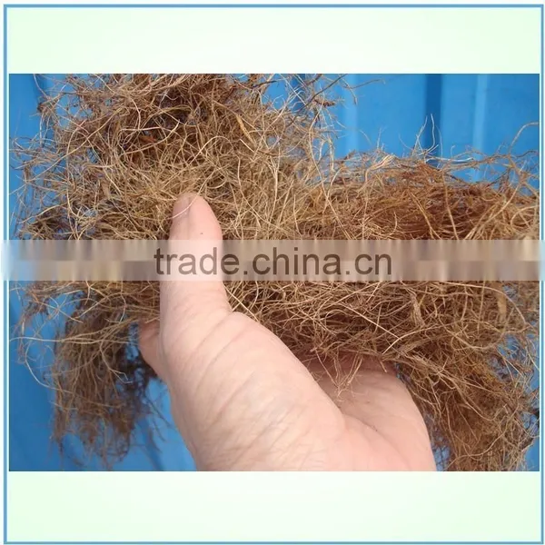 New EFB Long Fibres Crusher From Experienced Chinese Supplier photo-2