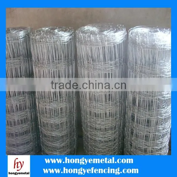 China Manufacturer Cheap Cattle Fence And Hinge Joint Field Fence( OEM&ODM ) photo-5