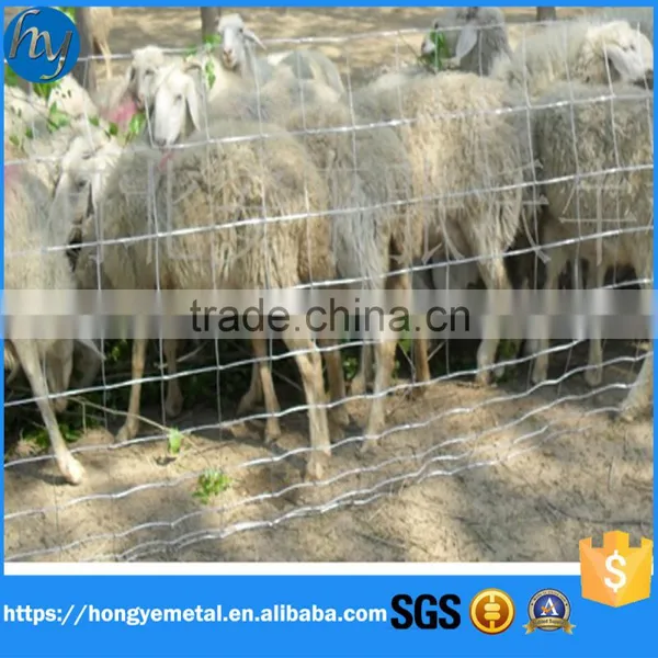 ISO9001 Anping Hot Dipped Galvanized Hinge Join Farm Cow And Sheep Fence Wire Cattle Field Fence Wire photo-2