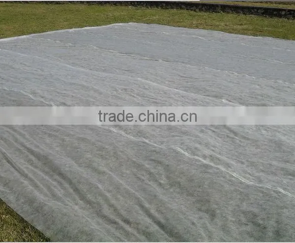 Spunbond Pp Agriculture Nonwoven Fabric Roll For Seeding Bag photo-4