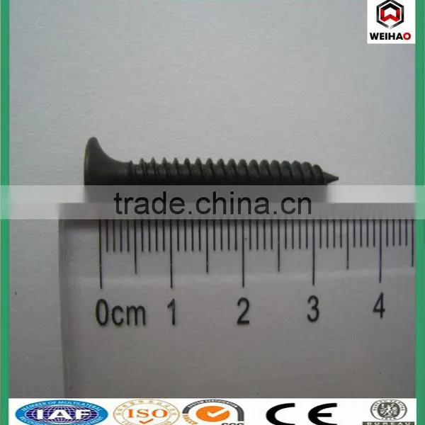 Bulgy Screw/collated Drywall Screws/galvanized Drywall Screw photo-2