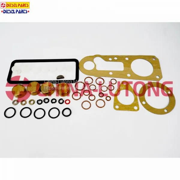 Diesel Fuel Pump Repair Kit-fuel Injector Pump Rebuild Kit 1 417 010 002 for JMC Engine photo-4