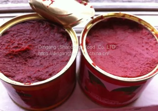 Tomato Paste photo-3