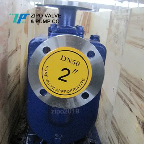 ZIPO no Blockage Horizontal Self-priming Pump Cast Iron Electric Sewage Pump ZZX or ZZW Type photo-4