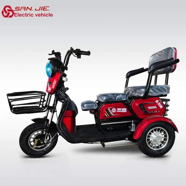 Qualified Ecc Coc 3 Wheel Mini Electric Cars for Adult