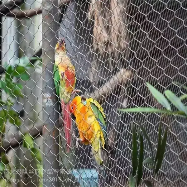 Galvanized High-Strength Stainless Steel Wire Rope Mesh for Zoo Animal Enclosures