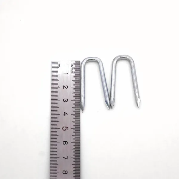 China Factory Produced 50mmx5mm Dia U Shaped Nails With Custom Packaging photo-5
