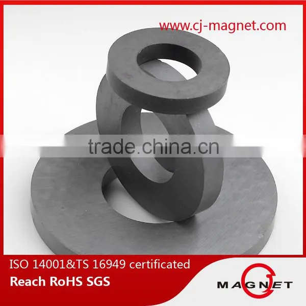 China Y20 Ferrite Magnets for Speakers photo-3