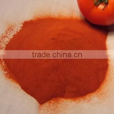 Spray Dried Tomato Powder photo-4
