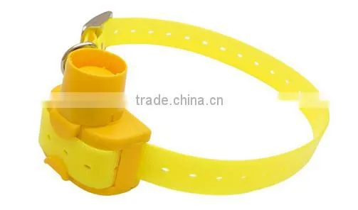 Best Quality Dog Beeper With Good Feedback photo-4