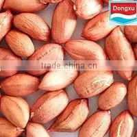 China Peanut Kernels