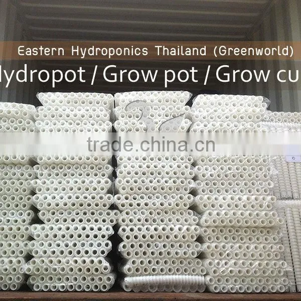 Export Grow Cup
