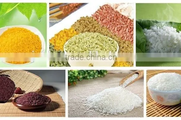 Thin and Long Automatic Artificial Rice Extrudering Equipment photo-6