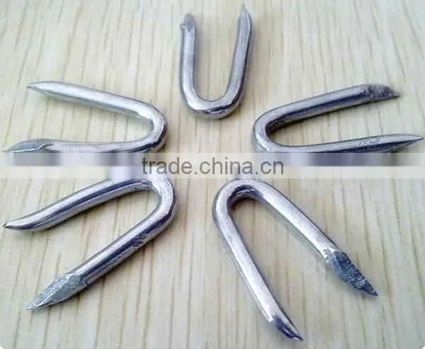 Hot-dipped Galvanized Fence Staples / U-Nails/ U Type Nails photo-5