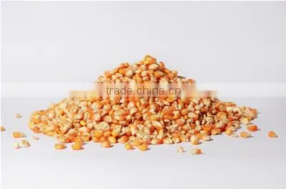 Natural Yellow Corn