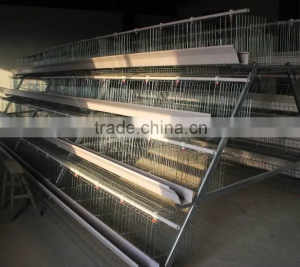 Galvanized Material Welded Wire Mesh Cage for Quail photo-3