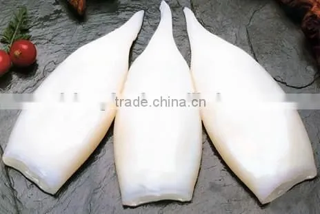Illex Frozen Squid Tube IQF Factory photo-3