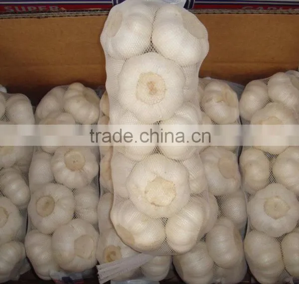 Chinese Pure White Garlic photo-3