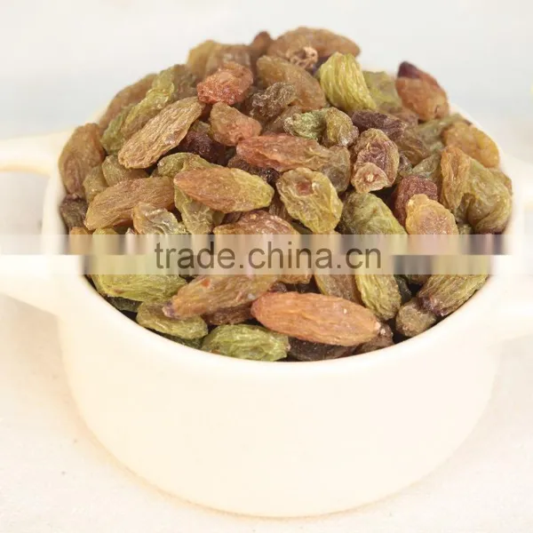 2015 Xinjiang Turpan Green Raisins Dried Grapes photo-6