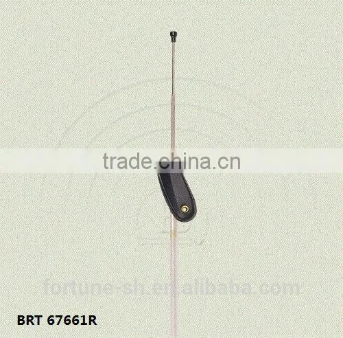 Car Custom AM/FM Antenna BRT-67661