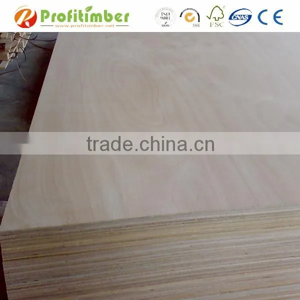 Eucalyptus Boards / Eucalyptus Hardwood Plywood photo-5