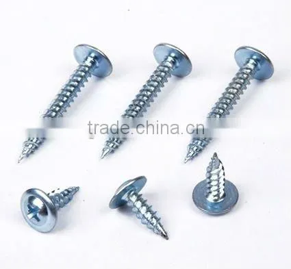 Truss Head Phillips Self Tapping Screw Zinc Plated Roofing Screw photo-4