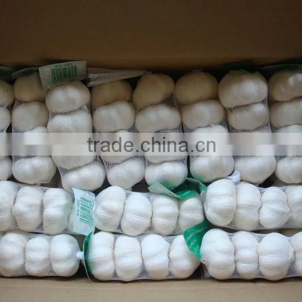20kg Mesh Bag Garlic Price photo-6