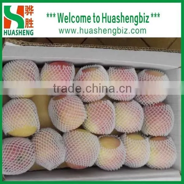 2016 Freshest Crop Fresh Fuji Apple photo-4