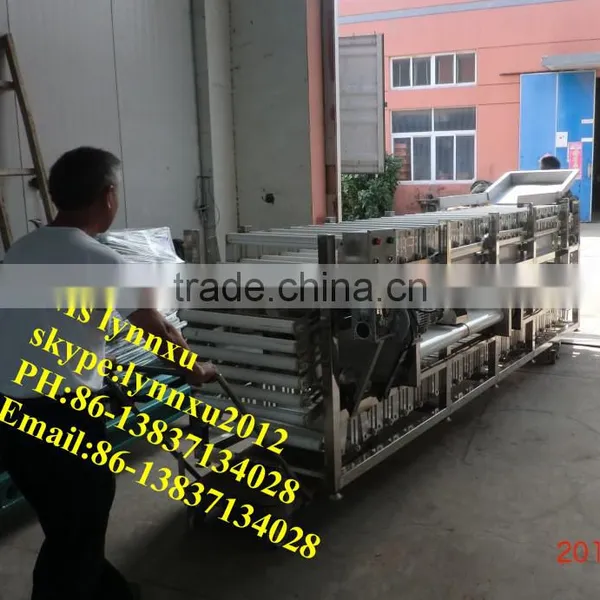 Apple Size Grading Machine / Fruit Polishing Sorting Machine photo-3