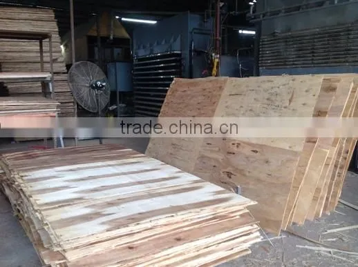 High Quality Sanding Two Sides Core for Making Good Matply/semi-finished Plywood photo-3