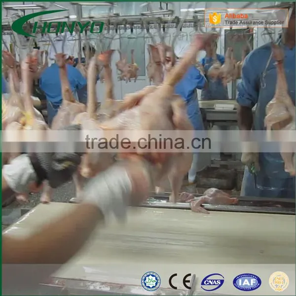 Full Stainless Steel Structure Halal Poultry CHICKEN SLAUGHTER AND ABATTOIR MACHINE LINE photo-3