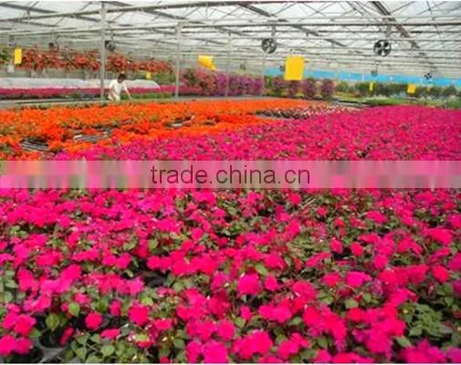 Large Multi-span Fiberglass Commercial Greenhouse,garden Greenhouse,flower Greenhouses photo-3
