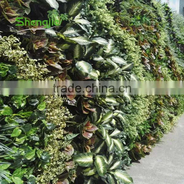 SJ0409018 Outdoor Green Wall/garden Foliage Wall / Decorative Fern Wall photo-3