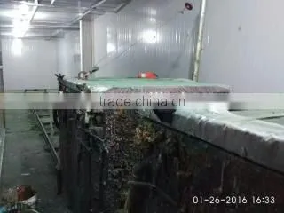 Hebei Huiya Automatic Foaming Machine With Floral Foam Tachnology photo-4