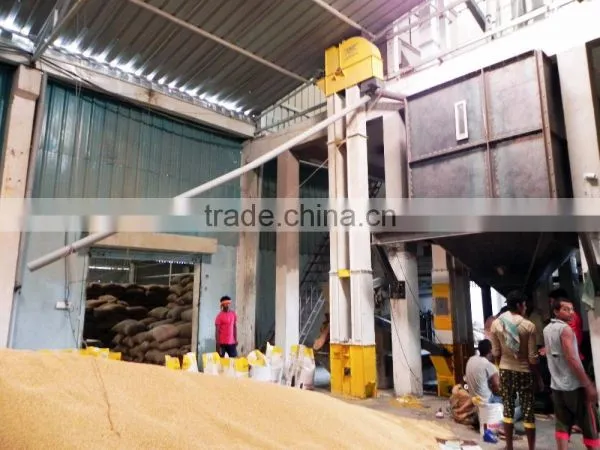 Indian Soyabean Supplier photo-3