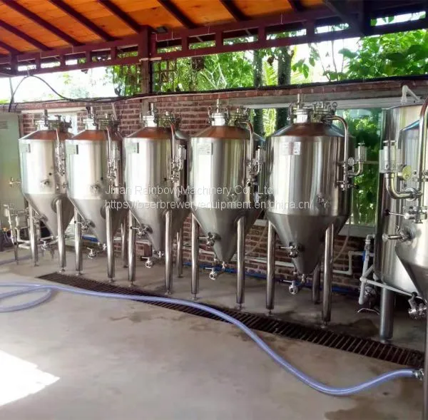 500l beer fermenter, conical fermenter, fermentation system