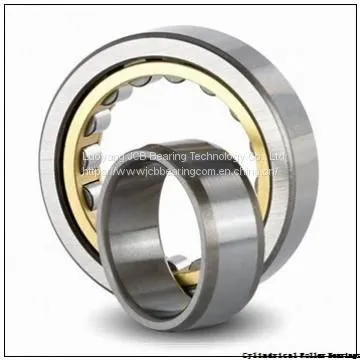 Cylindrical Roller Bearings