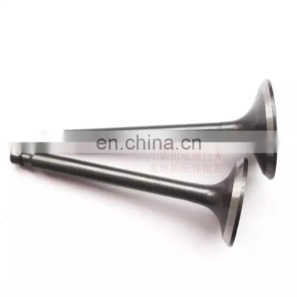 Factory Inlet Intake Valve Exhaust Valve Kit For Honda GX25 GX 25 Engine Motor FG110 HHT25S photo-2